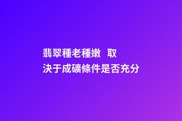 翡翠種老種嫩   取決于成礦條件是否充分